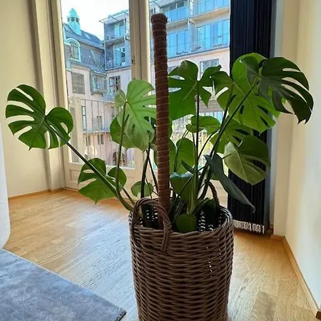 Botanical Bliss In Oslo! Oslo