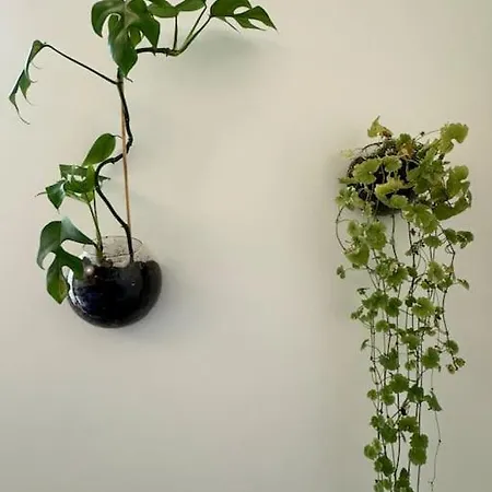 Botanical Bliss In Oslo! オスロ