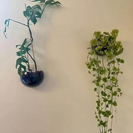 Apartment Botanical Bliss In Oslo! Oslo