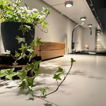 Botanical Bliss In Oslo! Apartment *