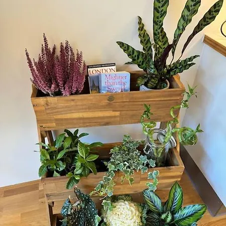 Botanical Bliss In Oslo! アパート *