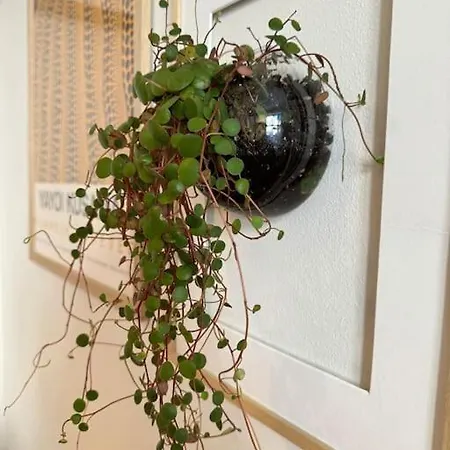 Apartment Botanical Bliss In Oslo! *