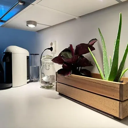 아파트 Botanical Bliss In Oslo! *