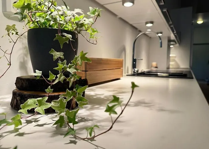 Botanical Bliss In Oslo! Leilighet *