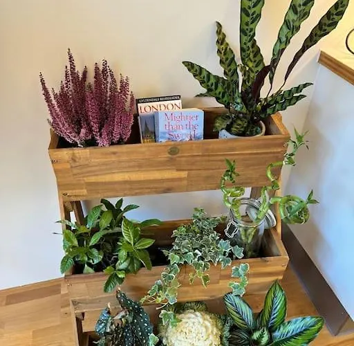 Botanical Bliss In Oslo! Lägenhet *