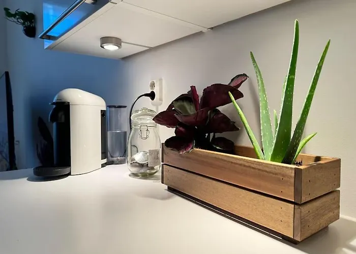 Leilighet Botanical Bliss In Oslo! *