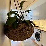 Apartman Botanical Bliss In Oslo!