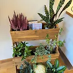 Botanical Bliss In Oslo! Apartman *