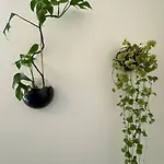 Botanical Bliss In Oslo! Oslo