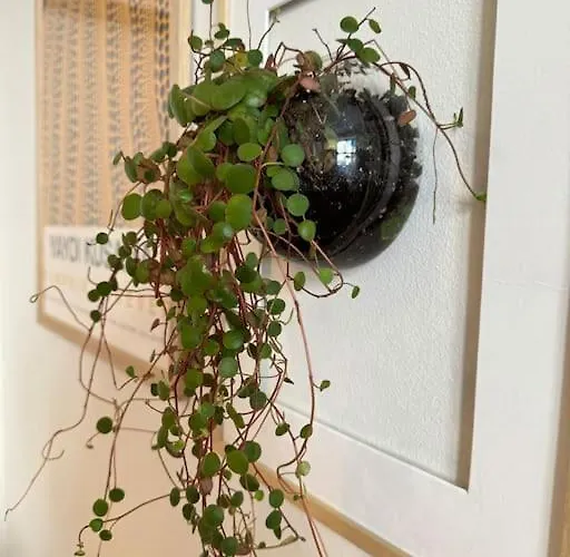 Appartement Botanical Bliss In Oslo! *